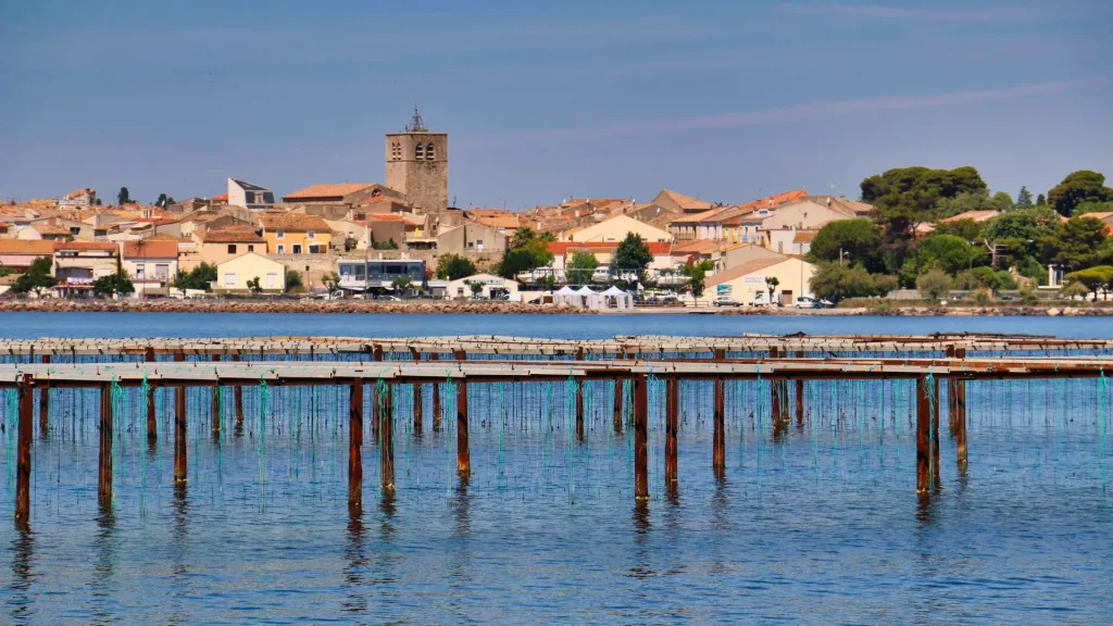 Obtenir son permis à Mèze et l'ancrage local, Balaruc, Villeveyrac, Bouzigues, Gigean et Poussan